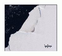 Satellite image showing guano stains of an emperor penguin colony in Halley Bay, Antarctica