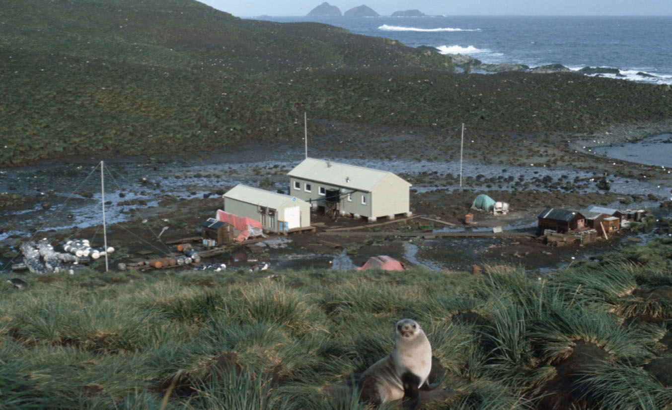 Prince House, Bird Island, 1981 - middle distance view of complex