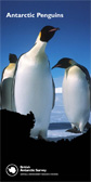 Antarctic Penguins
