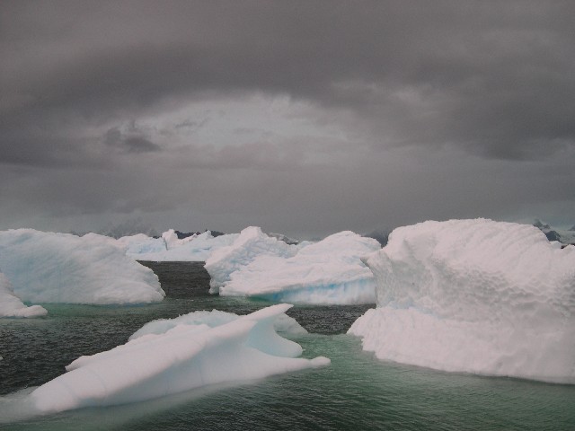 Icebergs in the bay