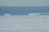 DSC_1680.JPG (2851239 bytes)