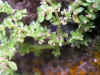 DSCN1052.JPG (906784 bytes)