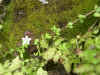 DSCN1053.JPG (895825 bytes)