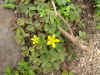 DSCN1072.JPG (907835 bytes)
