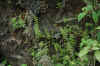 DSC_0607.JPG (1562033 bytes)
