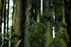DSC_0617.JPG (1535502 bytes)