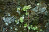 DSC_0623.JPG (1563703 bytes)