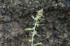 DSC_0638.JPG (1533880 bytes)