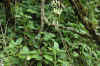 DSC_0643.JPG (1560961 bytes)