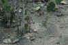 DSC_0735.JPG (1555633 bytes)
