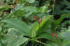 DSC_0758.JPG (1705980 bytes)