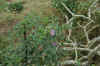 DSC_0760.JPG (1530950 bytes)