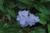 DSC_0762.JPG (1618632 bytes)