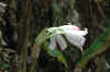 DSC_0774.JPG (1552093 bytes)