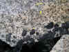 DSCN0281.JPG (820325 bytes)