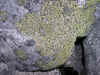 DSCN0282.JPG (809429 bytes)