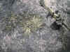 DSCN0283.JPG (907980 bytes)