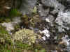 DSCN0762.JPG (922984 bytes)