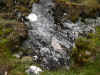 DSCN0763.JPG (899094 bytes)