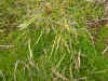 DSCN0766.JPG (796564 bytes)