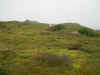 DSCN0767.JPG (793167 bytes)
