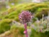 DSCN0772.JPG (753773 bytes)