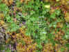 DSCN0774.JPG (844215 bytes)