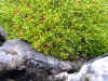 DSCN0796.JPG (825613 bytes)