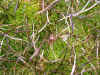 DSCN0805.JPG (848051 bytes)