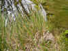 DSCN0808.JPG (905736 bytes)