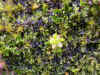 DSCN0810.JPG (832162 bytes)