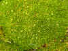 DSCN0814.JPG (881076 bytes)