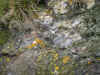 DSCN0826.JPG (910863 bytes)