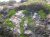 DSCN0849.JPG (893037 bytes)