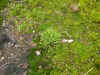 DSCN0855.JPG (827304 bytes)