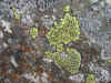 DSCN0865.JPG (896989 bytes)