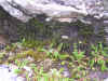 DSCN0873.JPG (898508 bytes)