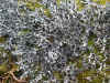 DSCN0884.JPG (891366 bytes)