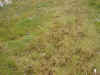 DSCN0885.JPG (922889 bytes)