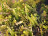 DSCN0896.JPG (848499 bytes)