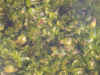 DSCN0897.JPG (877485 bytes)