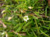 DSCN0914.JPG (790916 bytes)
