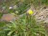 DSCN0915.JPG (862665 bytes)