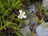 DSCN0916.JPG (800009 bytes)