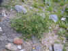 DSCN0922.JPG (905052 bytes)