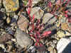 DSCN0927.JPG (887743 bytes)