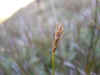 DSCN0936.JPG (875845 bytes)