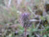DSCN0938.JPG (932580 bytes)