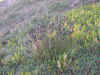 DSCN0939.JPG (890667 bytes)