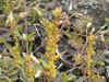 DSCN0957.JPG (893183 bytes)